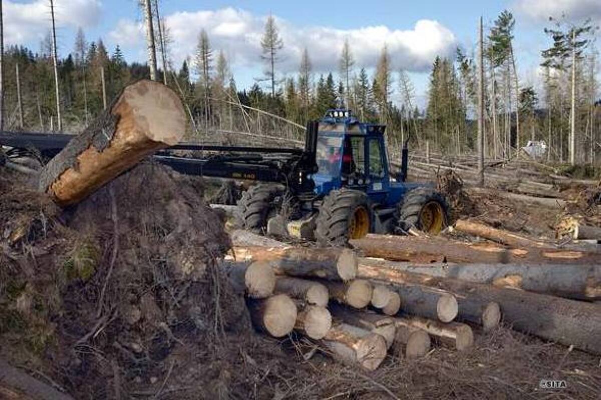 Ochranári protestujú proti ťažbe v Tichej doline