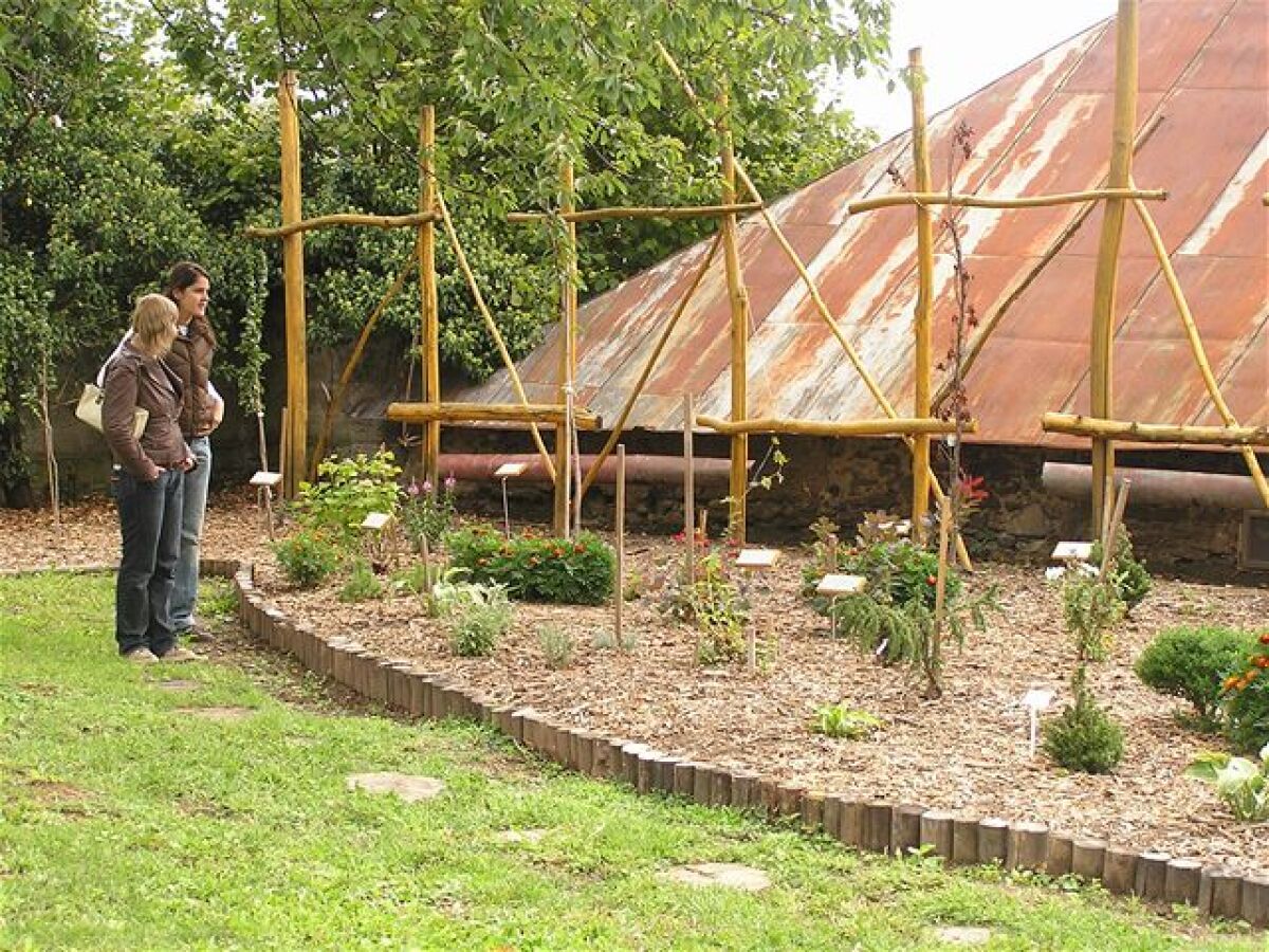 Arborétum