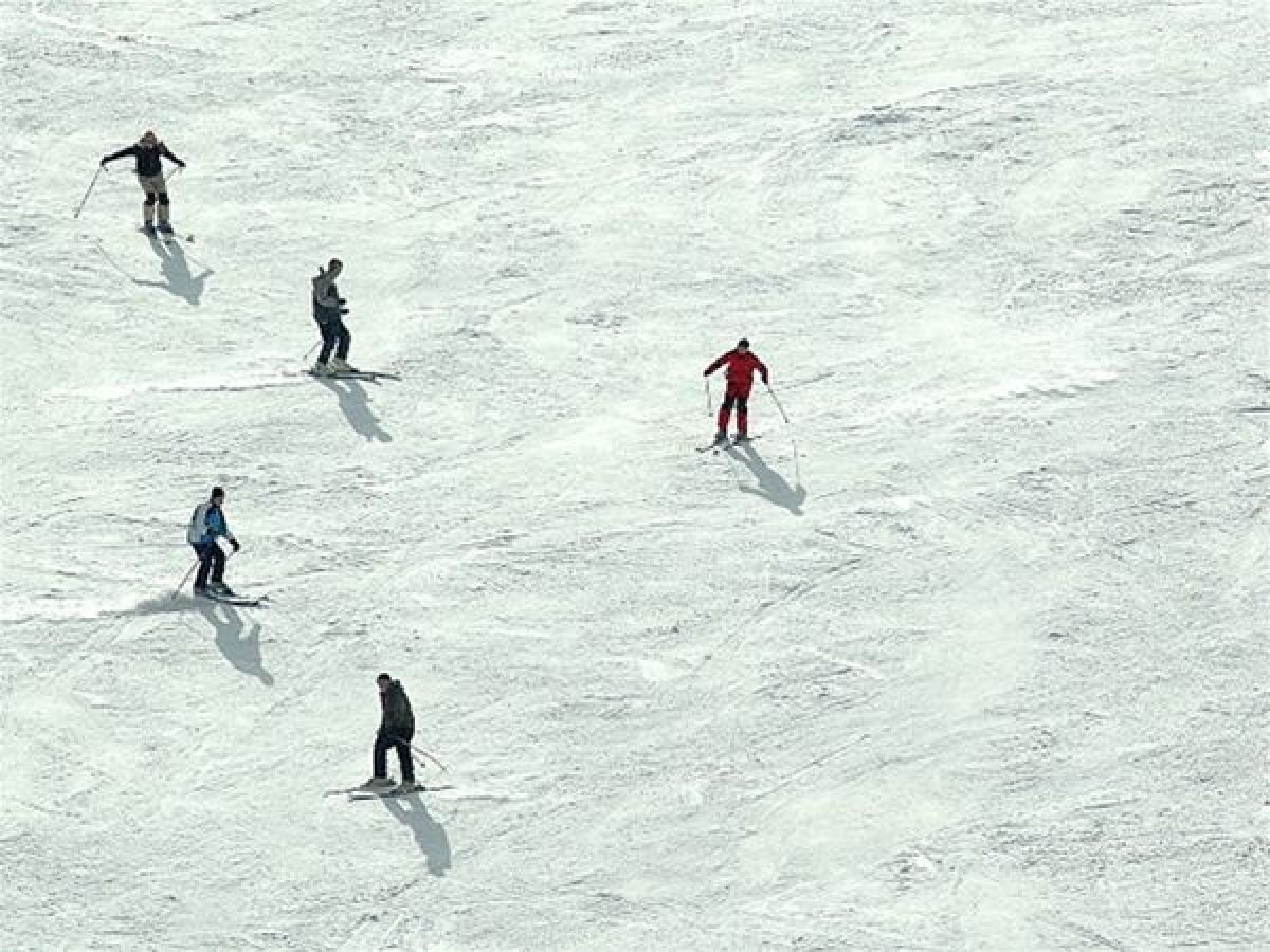 Lyžovanie, lyžiari