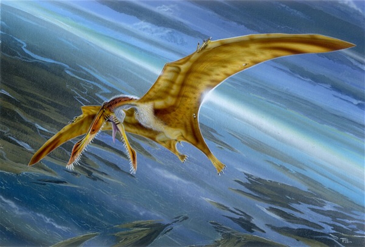 pterosaurus