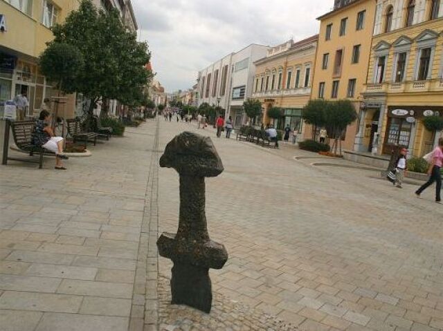 Nitra