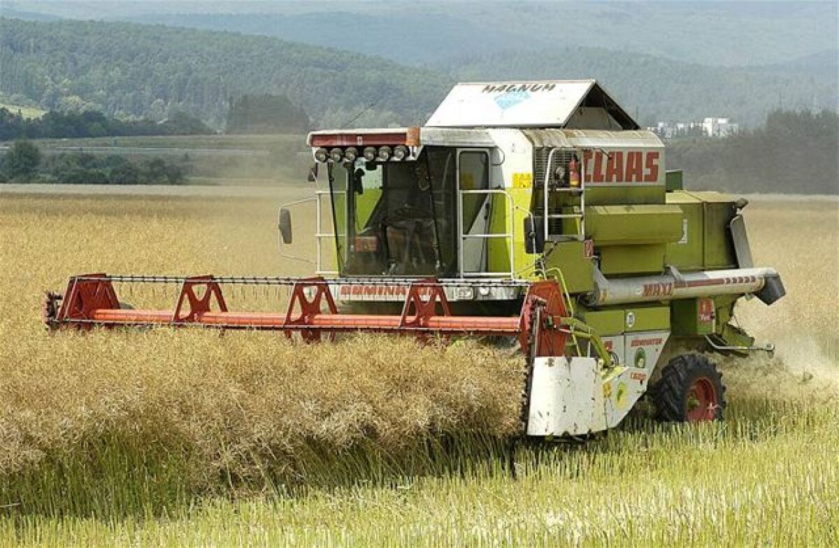 kombajn, žatva