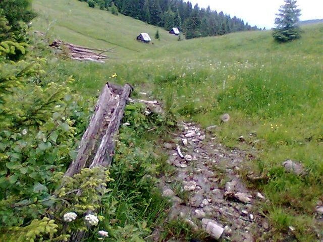 Smrekovica, Veľká Fatra