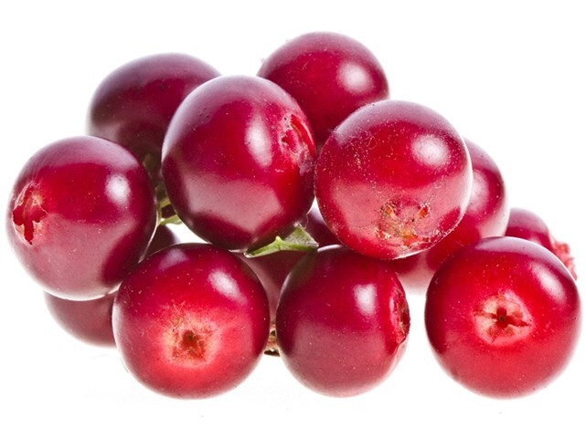jedlo, brusnice, zdravie, váživa, vitamín