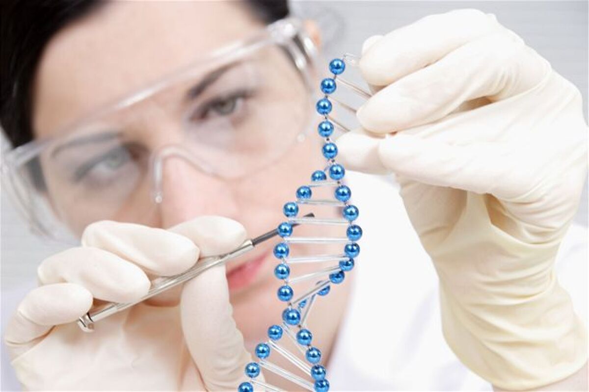 DNA, genóm