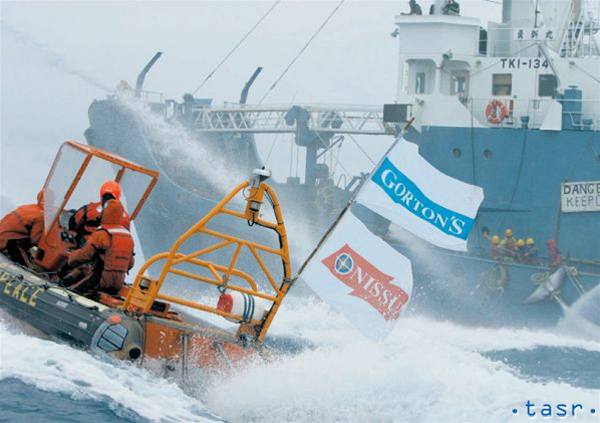Posádka nafukovacieho člna hnutia Greenpeace sa snaží zabrániť v prevoze ulovených veľrýb z japonskej veľrybárskej lode na loď továreň Nisshin Maru v antarktických vodách.