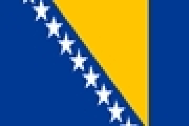 Zástava Bosna a Hercegovina
