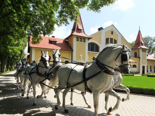 Topoľčianky, žrebčín