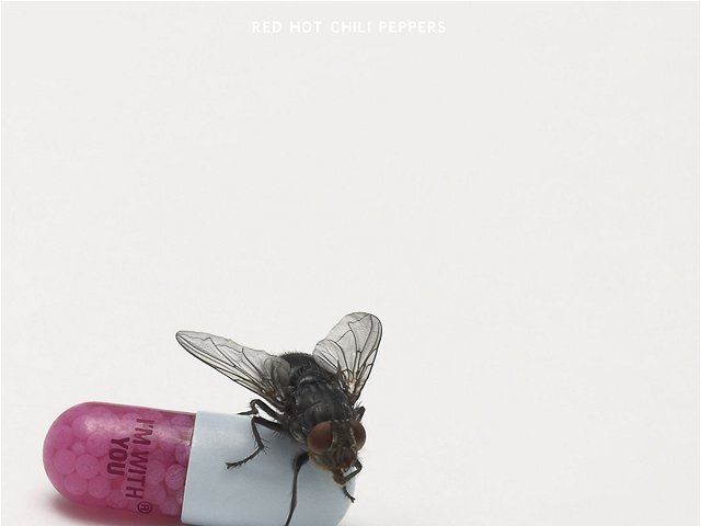 Red Hot Chili Peppers – I´m with You, Warner Music