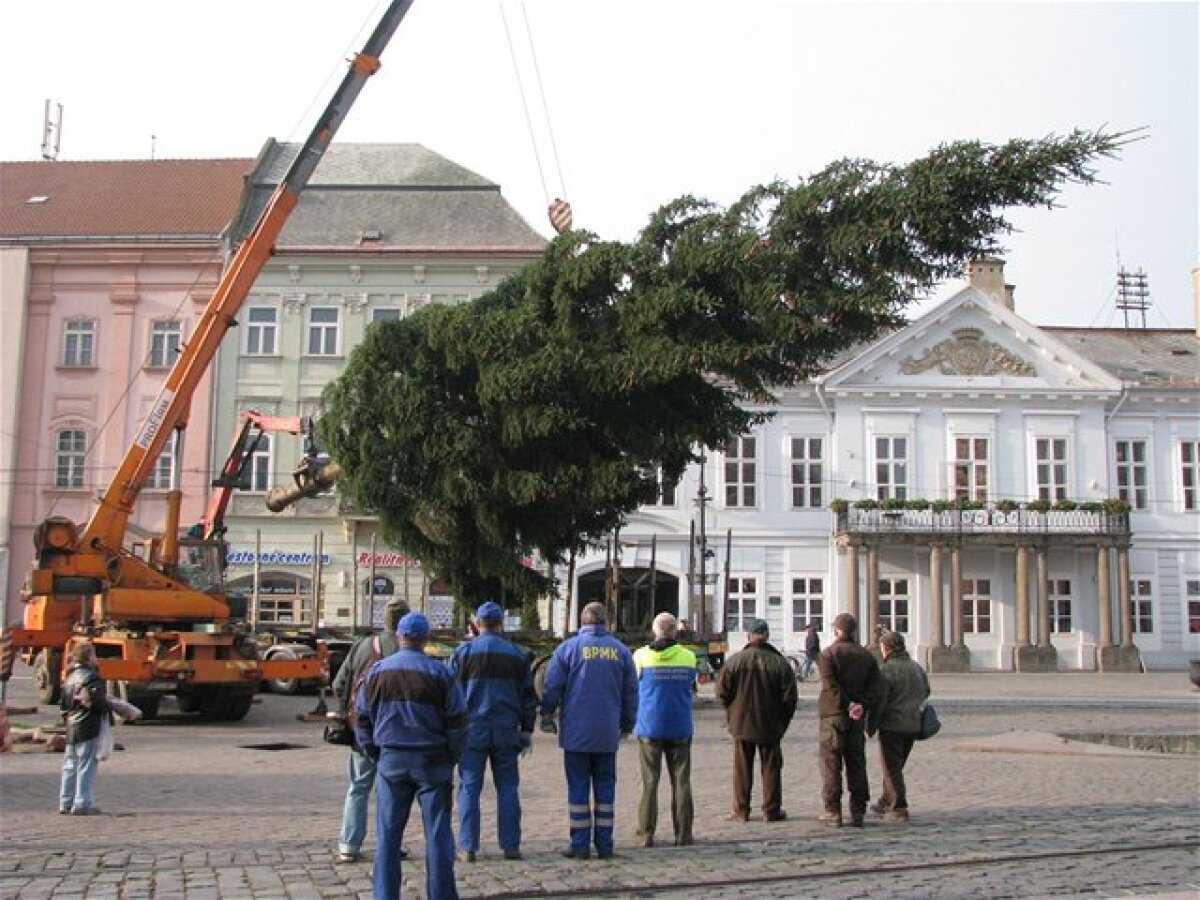 Takto sa stavia vianočný strom v meste...