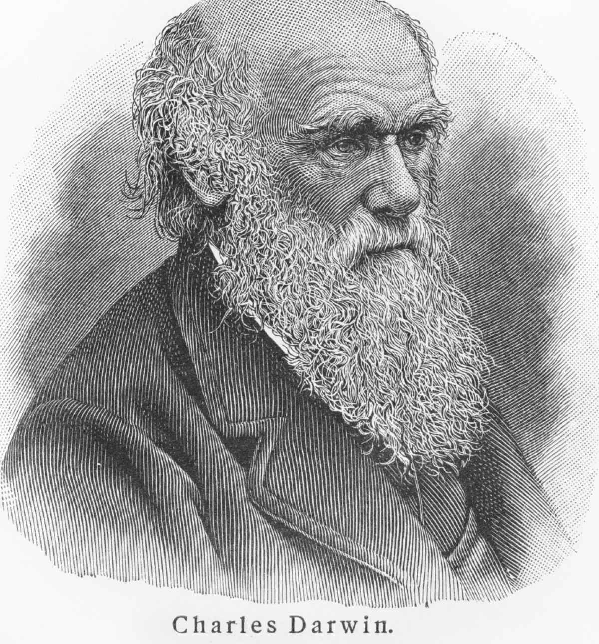 Charles Darwin