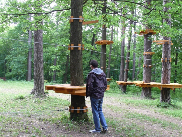trenčín, brezina, park, les, stromy, lanová dráha