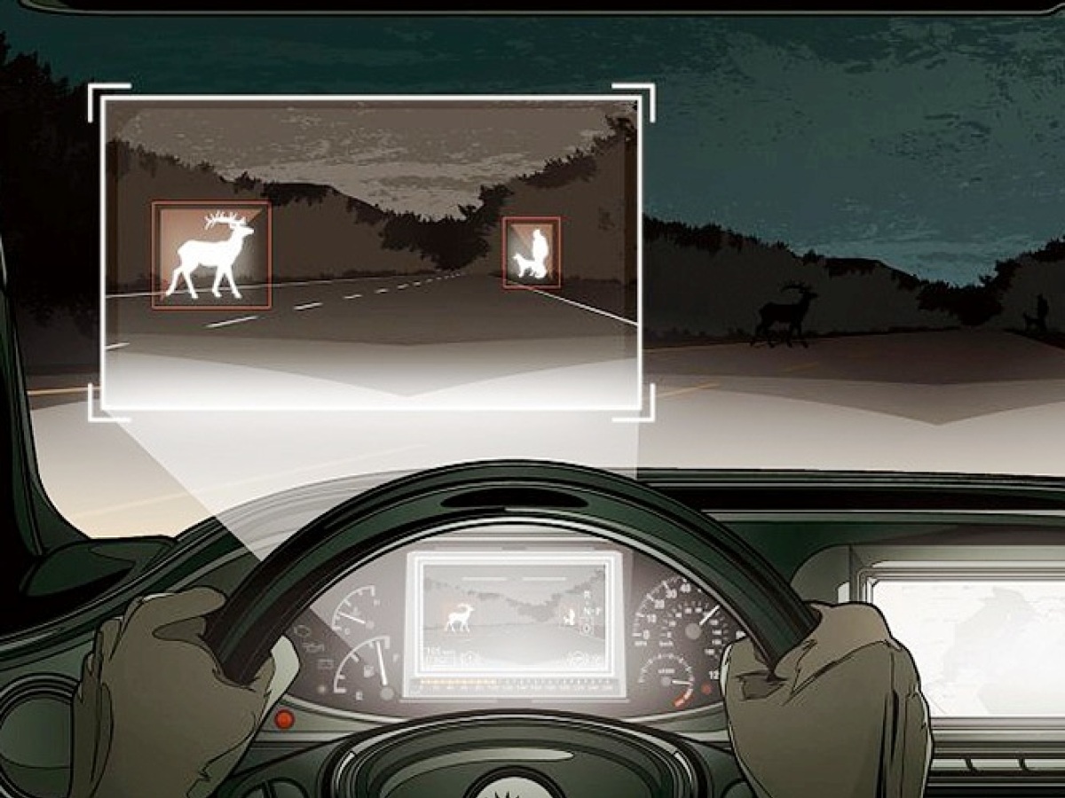 Mercedes Benz Night Vision animals