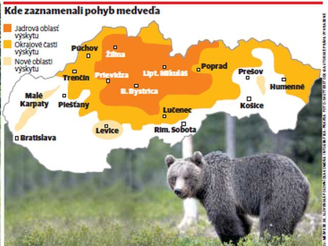 Zaznamenaný pohyb medveďa na Slovensku.