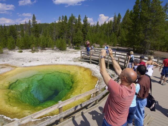Yellowstone, morning glory