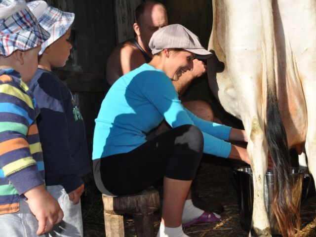Na farmách sme sa veľa naučili, napríklad aj podojiť kravu