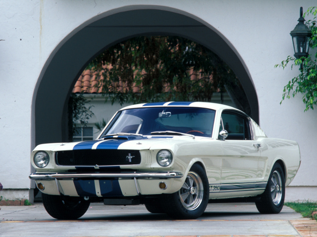 Ford Mustang Shelby GT350 z roku 1965 patril k mnohým špeciálnym edíciám. Tento raz s karosériou Sports Roof.