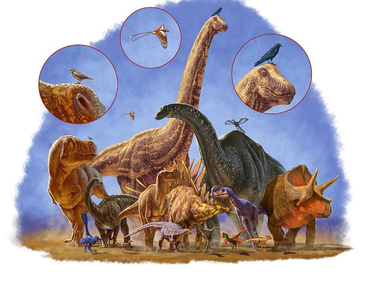 dinosauri,