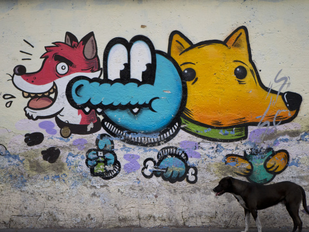 pes, grafiti