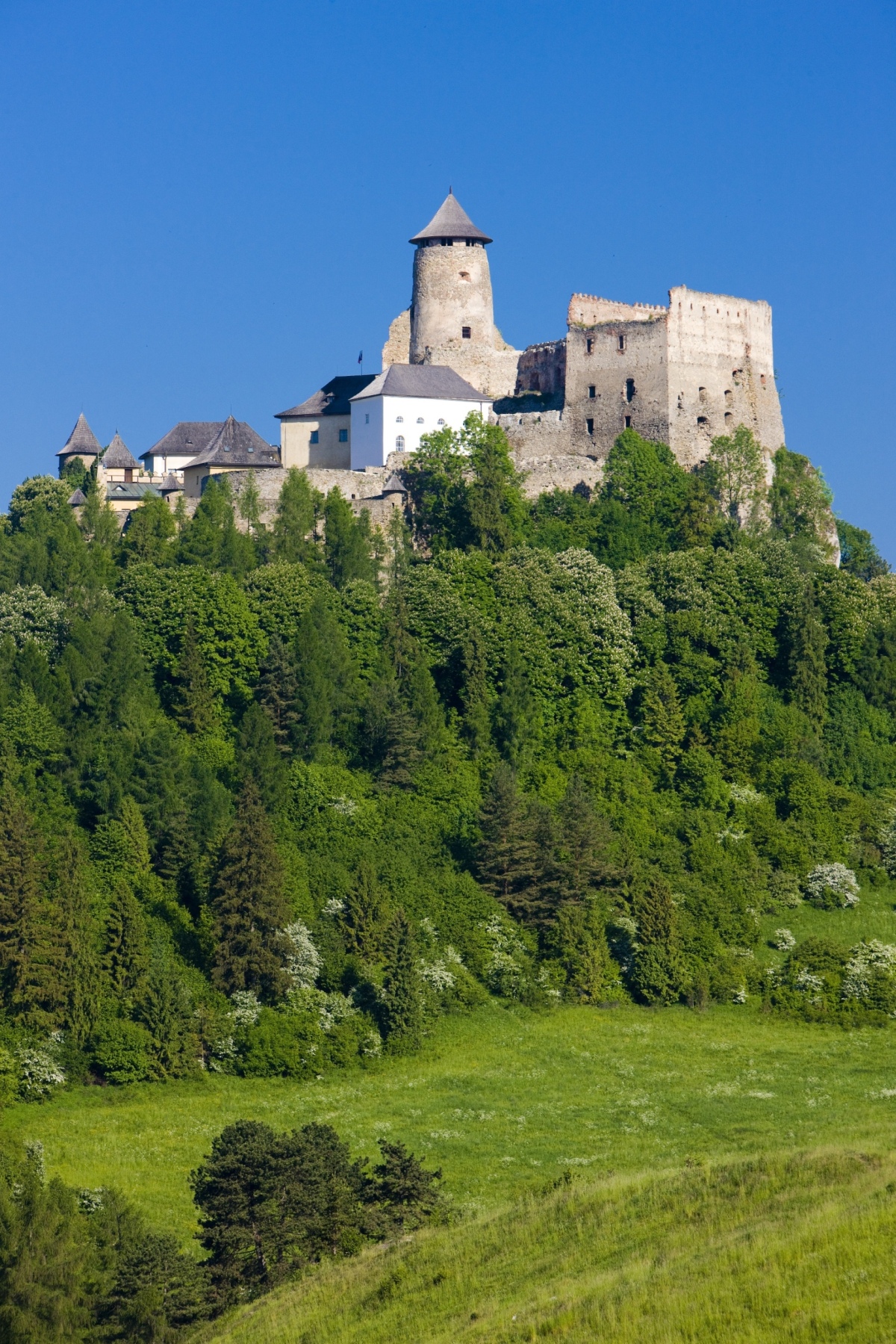 V minulosti bol známy aj pod názvom castrum Liblou. V blízkosti sa nachádzajú hrady Plaveč, Podolínec, Kežmarok, Holumnica.