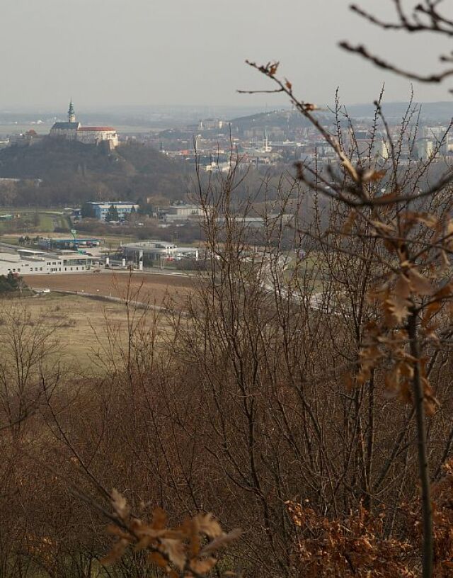 nitra