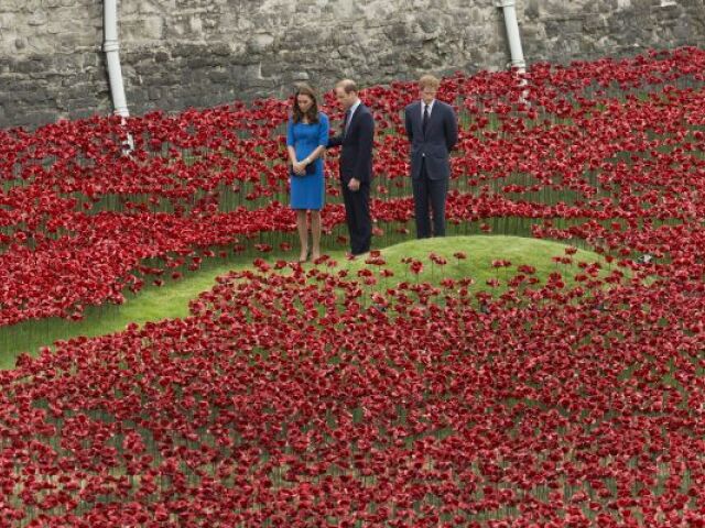William, Kate, Harry, vlčí mak