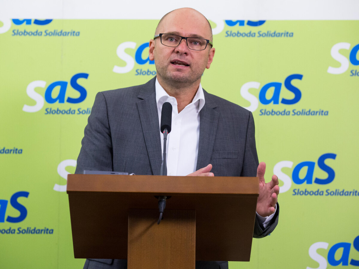 Richard Sulík, SaS
