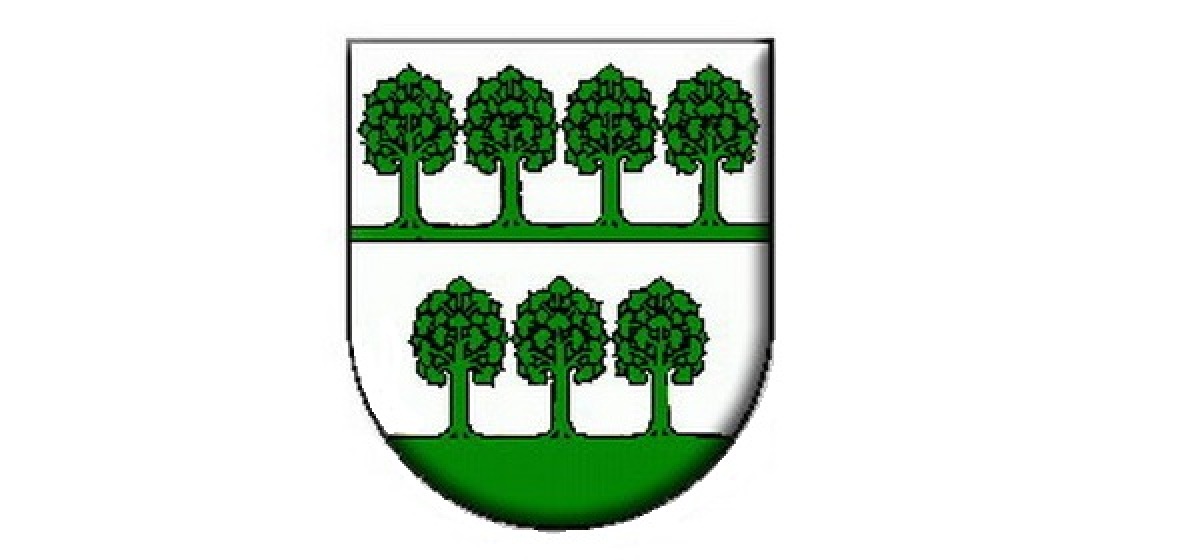 Ktoré slovenské mesto má nasledovný erb?