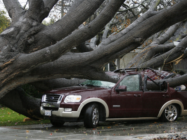 Kalifornia, búrka, strom, auto