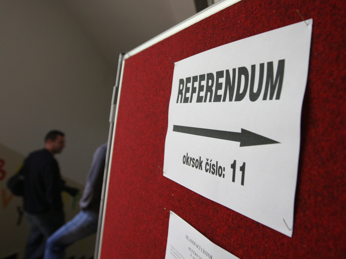 referendum