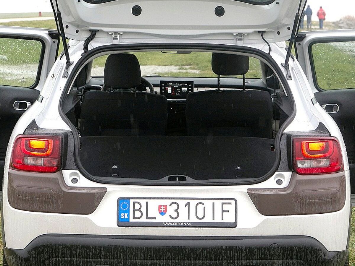 Citroën C4 Cactus - test