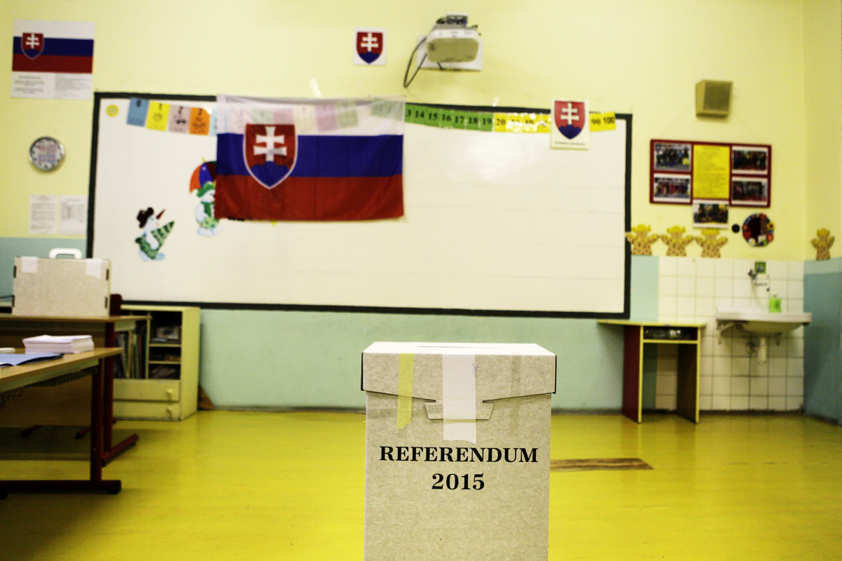 referendum, urna