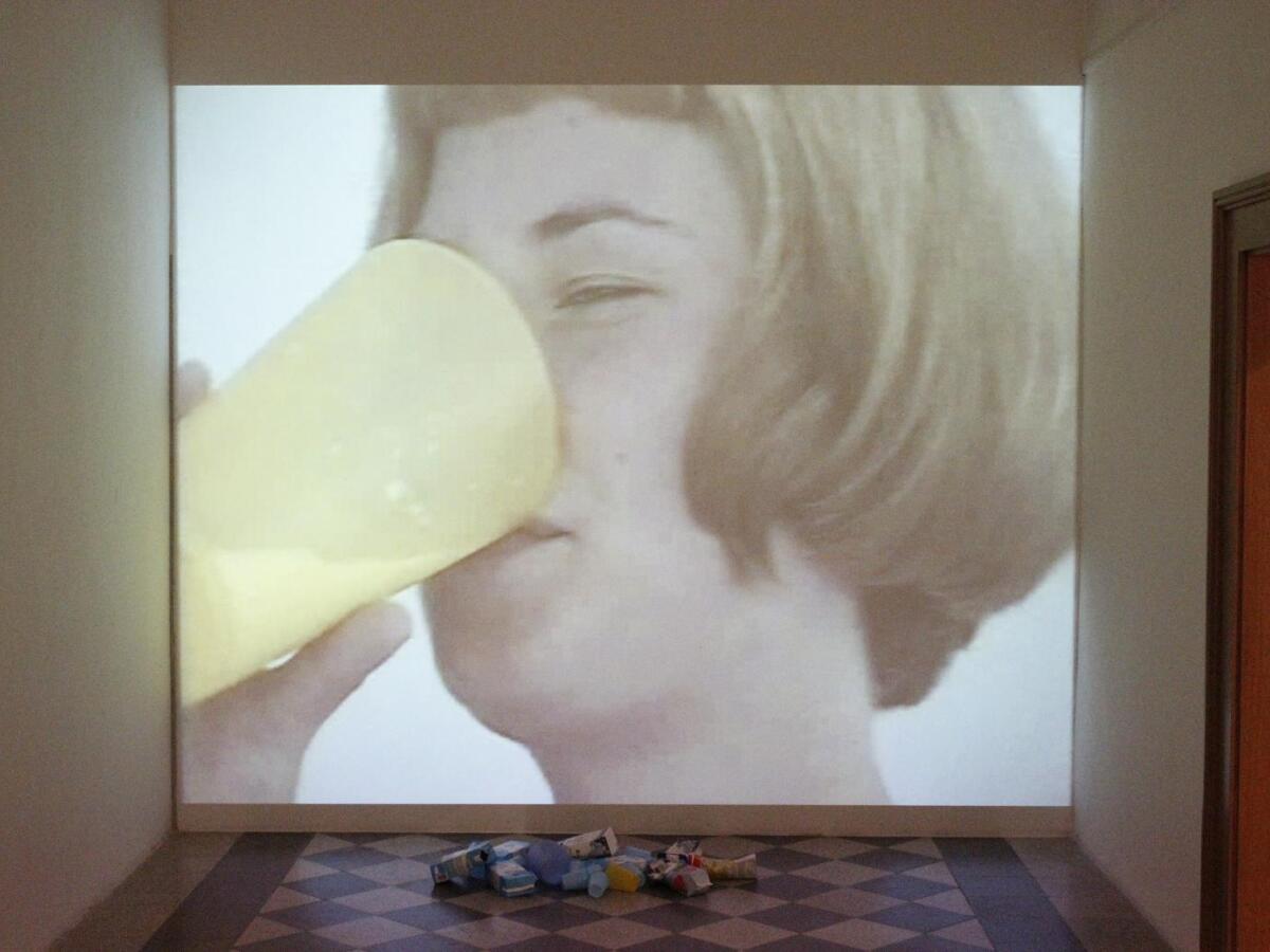 Jana Zelibská: Drink Milk?!, 2003