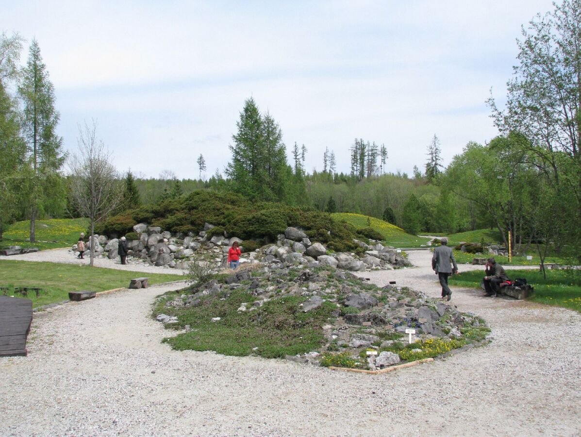 botanická záhrada, Tatry, rastliny