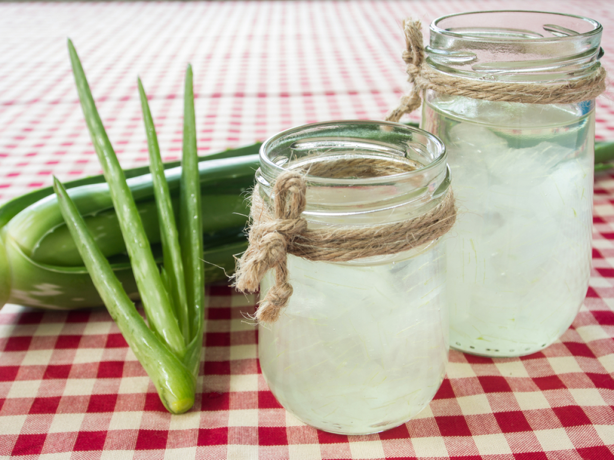 aloe vera