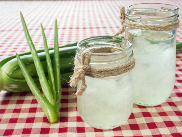 aloe vera