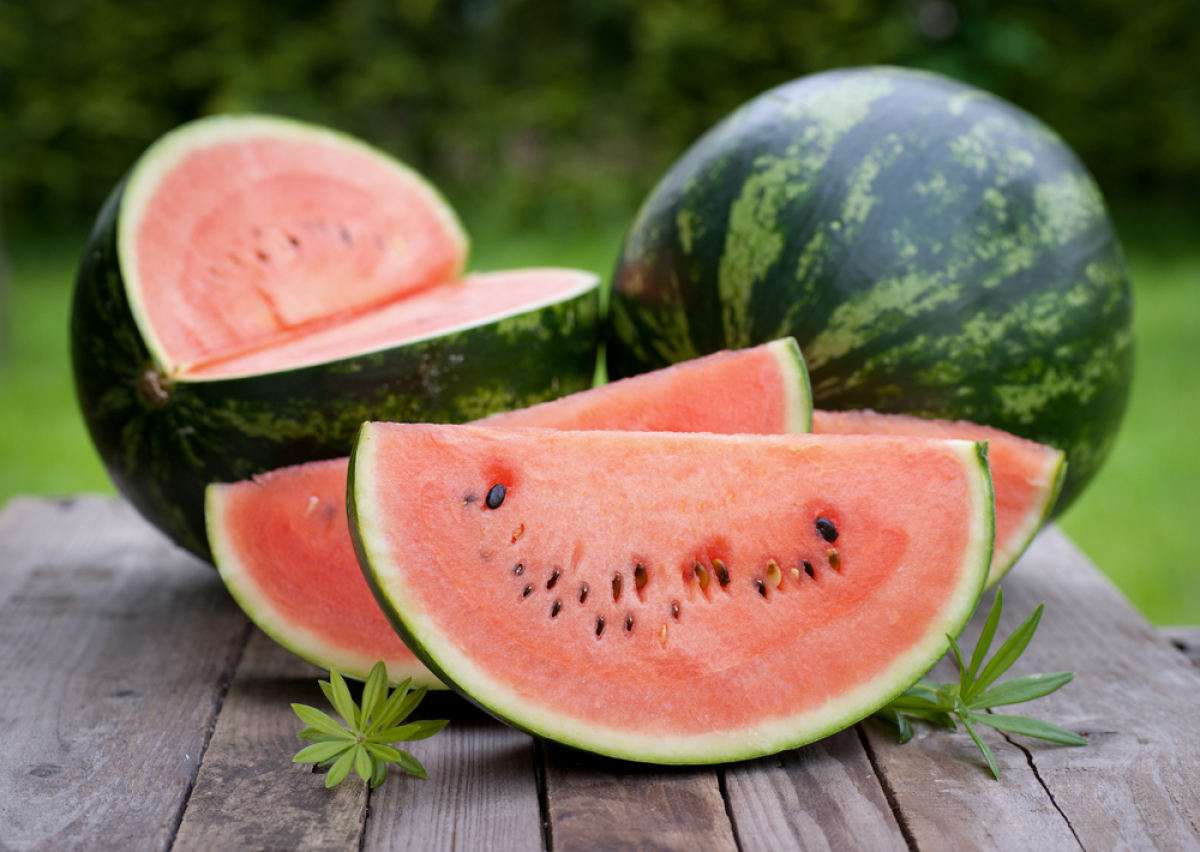 melón, leto. výživa