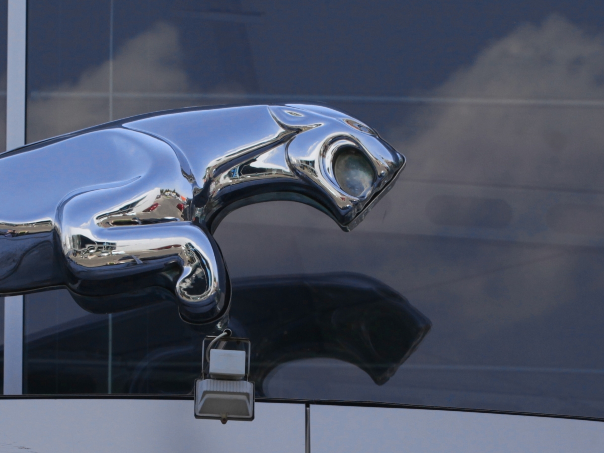 Jaguar