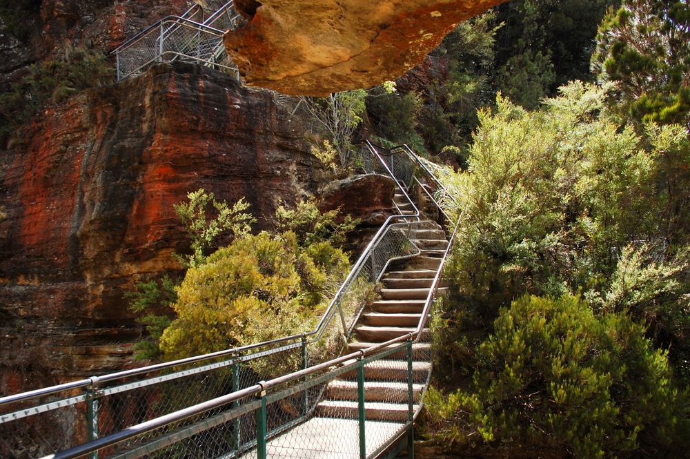 Giant stairway, Katoomba