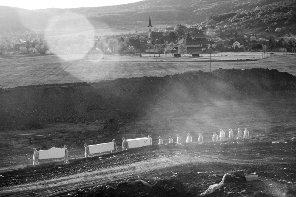 Dzurek foto