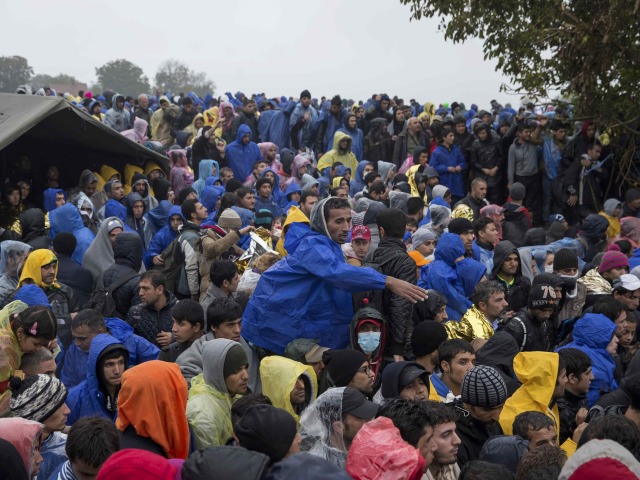utečenci, migranti, utečenecká kríza, chorvátsko, slovinsko,