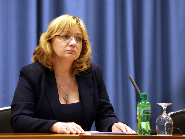 vlada, Bajanik