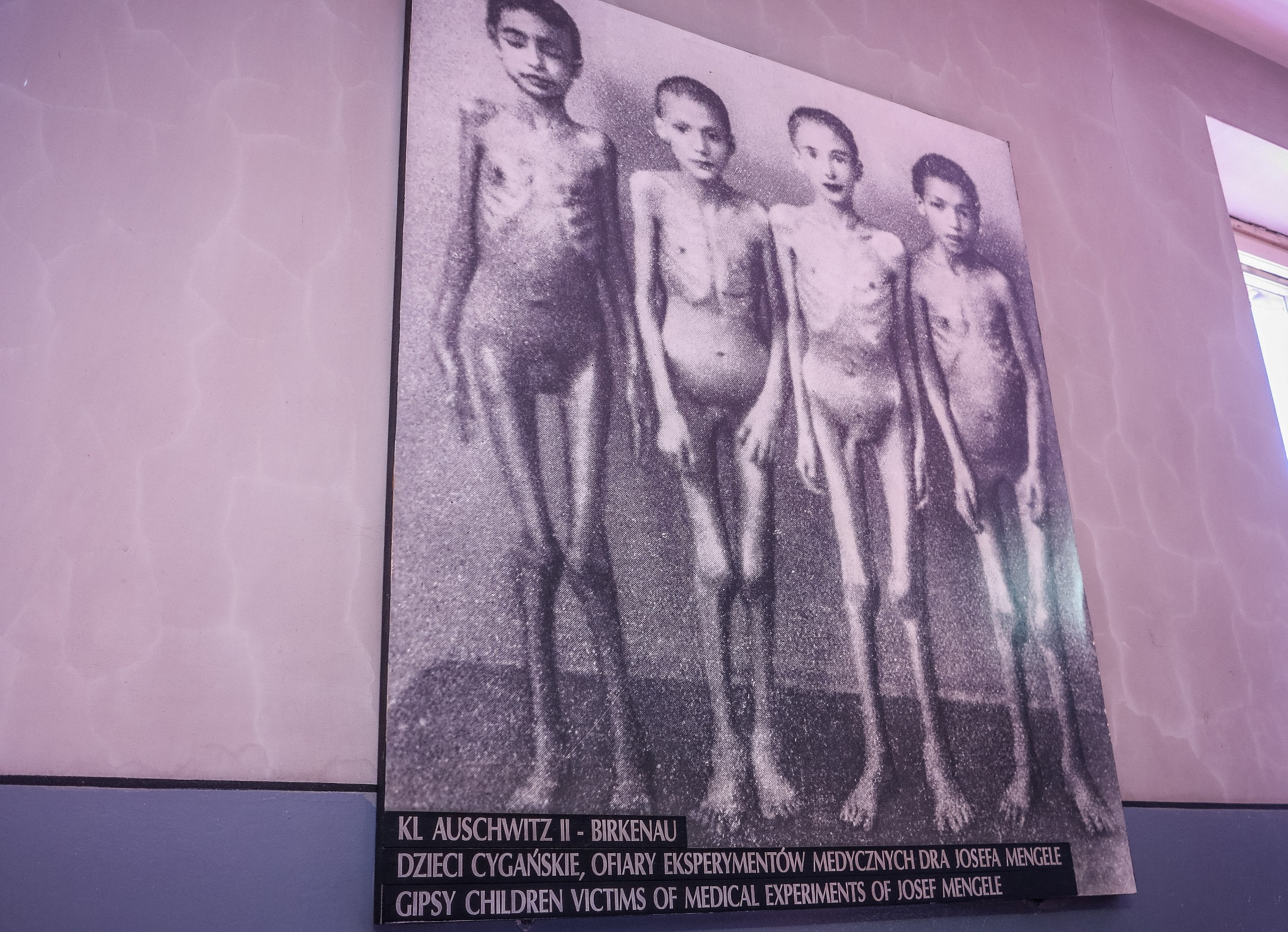 Fotografia v Auschwitzi - rómske deti z koncentračného tábora, na ktorých robil pokusy doktor Mengele.