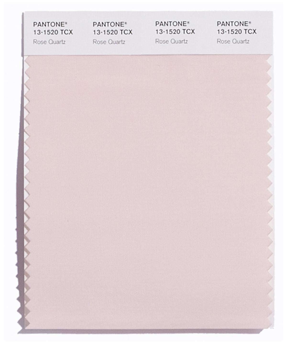 Pantone - farba roka - variácia