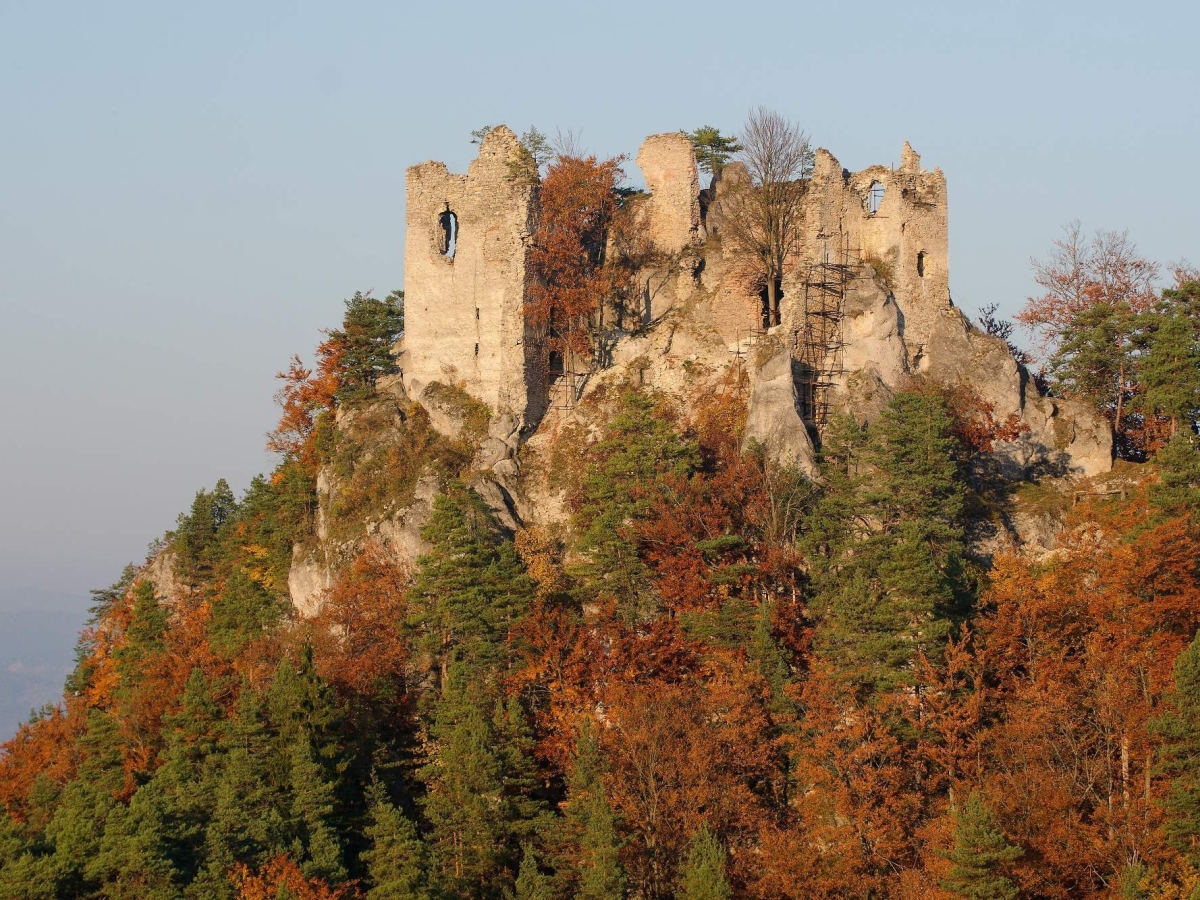 Hričov, hrad, zrúcanina, les