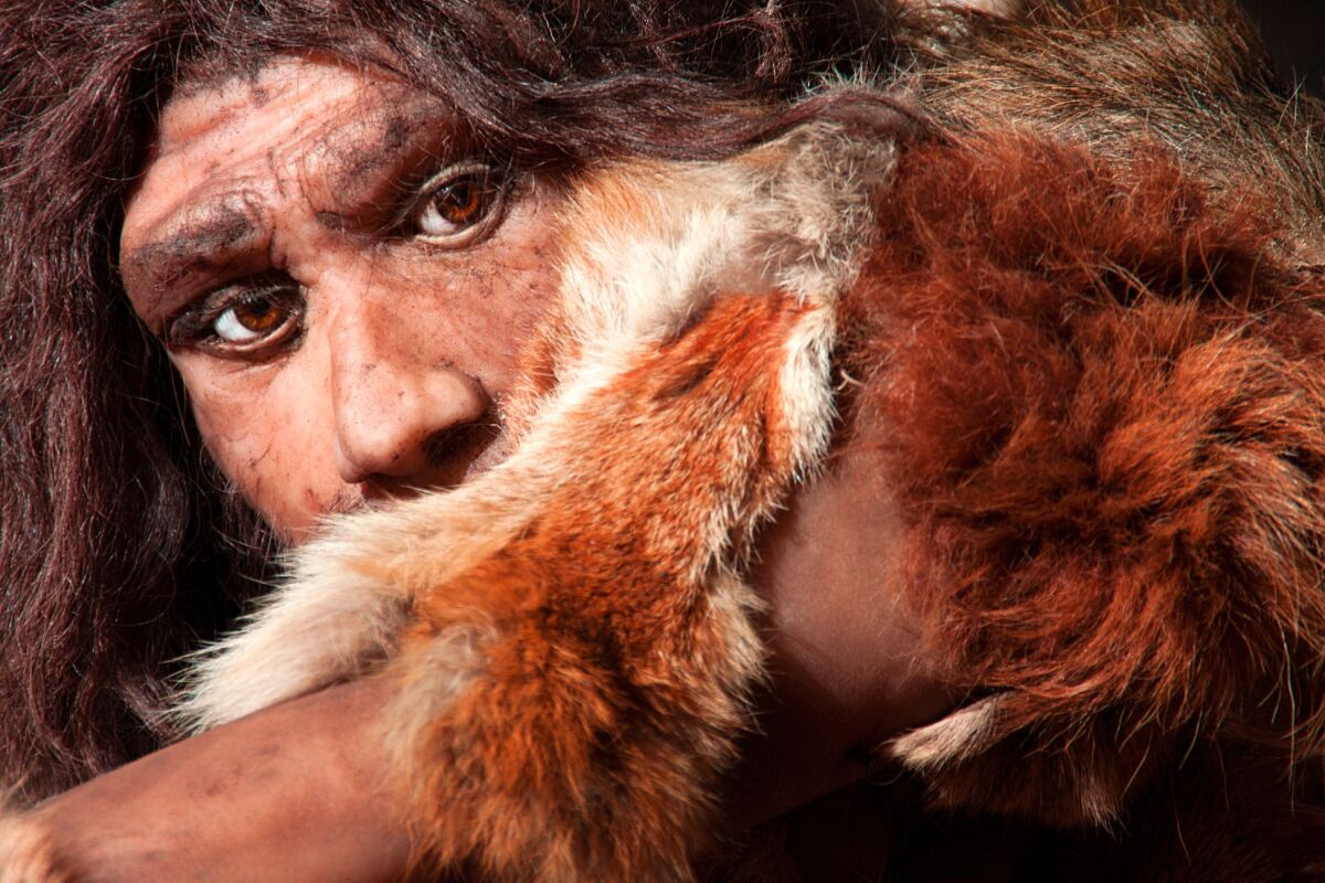 Pozostatok lebky neandertálca sa našiel v obci...