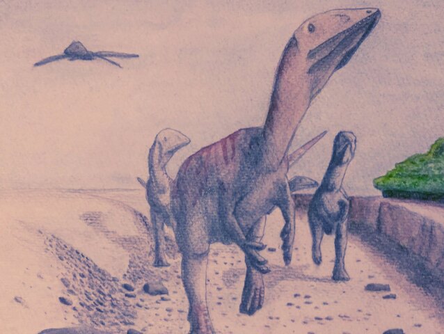Dracoraptor hanigani, dinosaurus, Wales