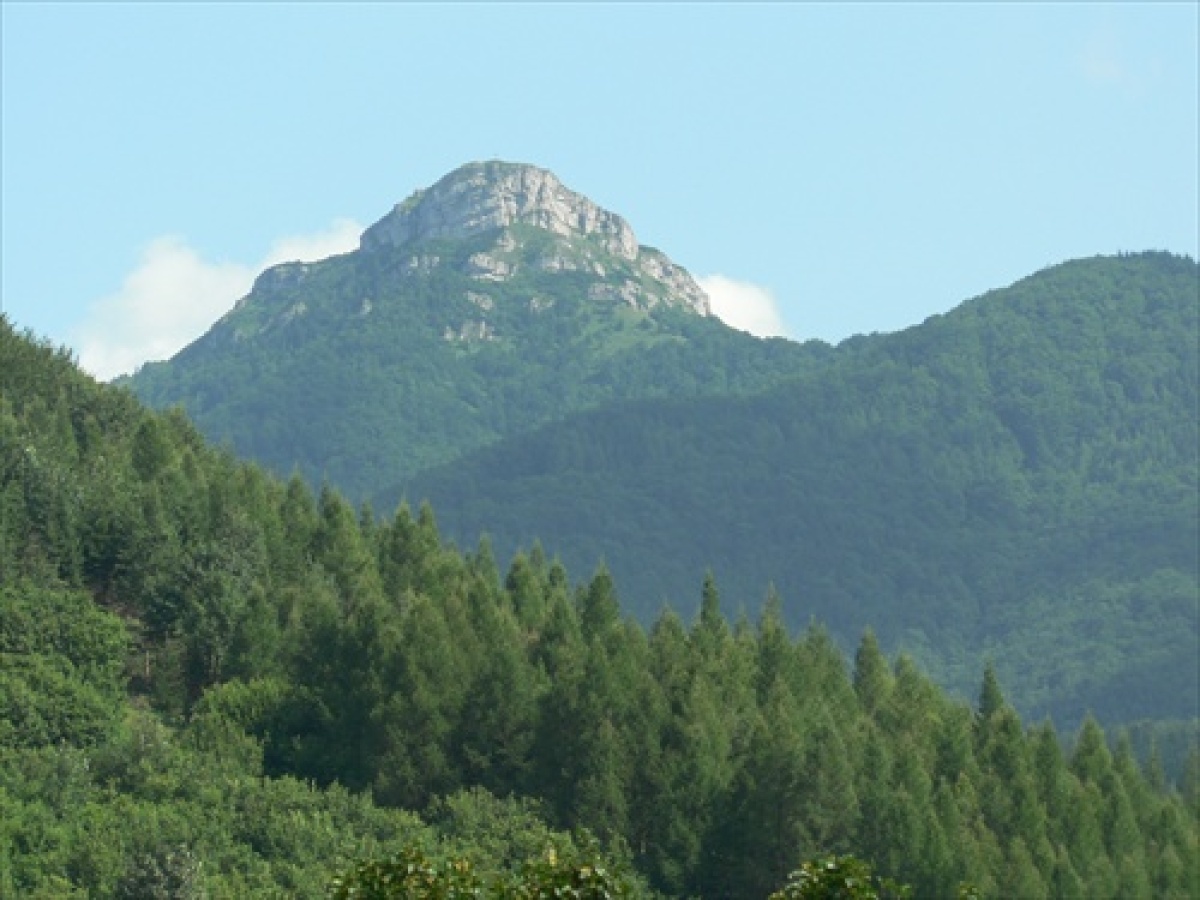 Muránska planina je krajinná oblasť nachádzajúca sa v západnej časti Slovenského Rudohoria. Ktorý vrch je jej najvyšším vrchom?