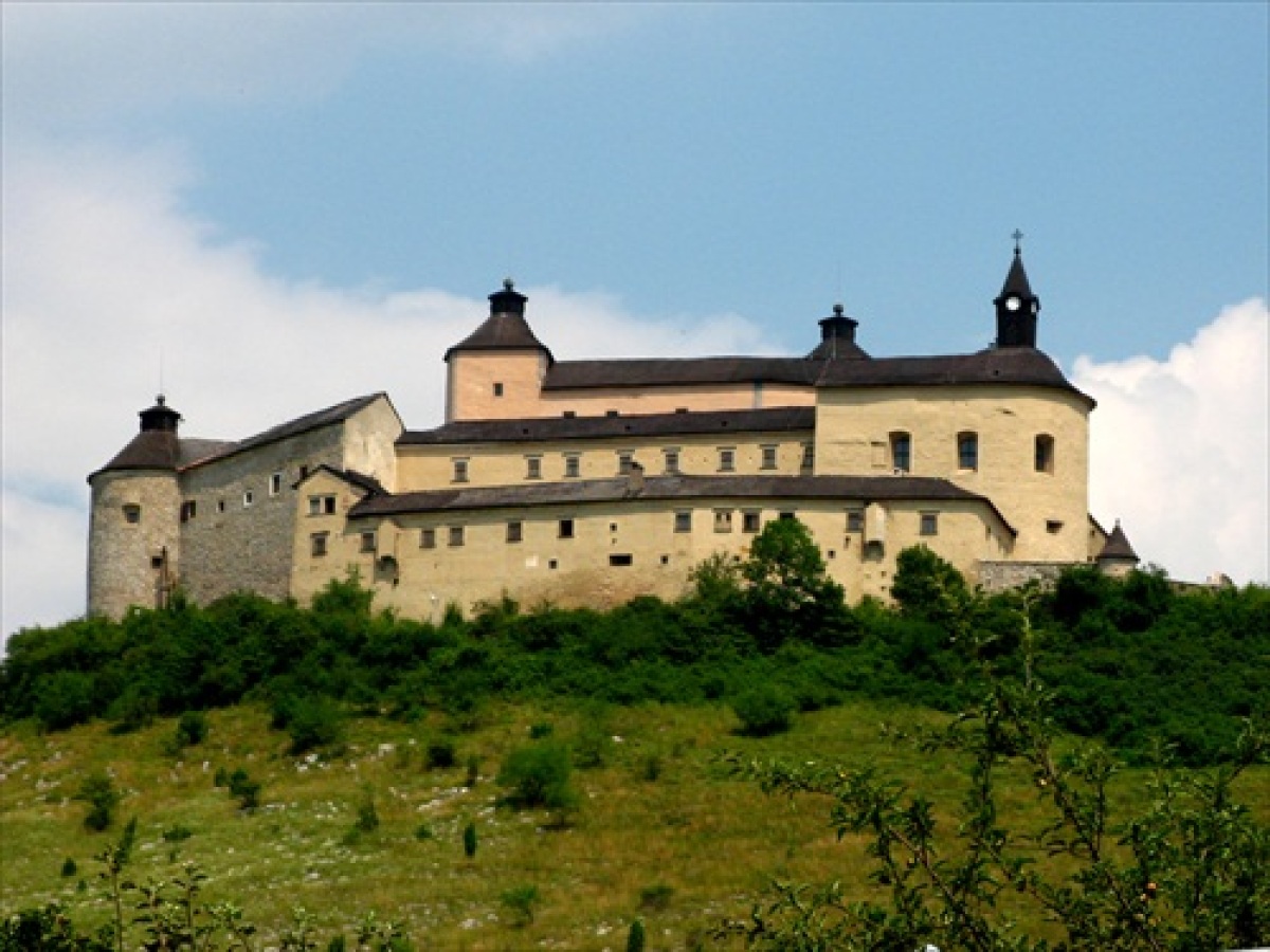 Krásna Hôrka je hrad zo 14. storočia, ktorý sa nachádza pri obci Krásnohorské Podhradie neďaleko Rožňavy. Prvá písomná zmienka siaha do roku 1333. Ktorý z nasledujúcich rodov ho nikdy nevlastnil?