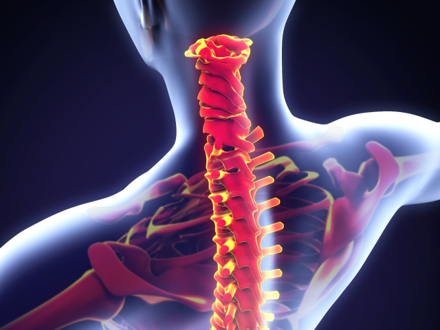 Ortopédia a spondylochirurgia kombinujú potrebu svalovej sily s precíznosťou, fyzickú prácu s jemnosťou.